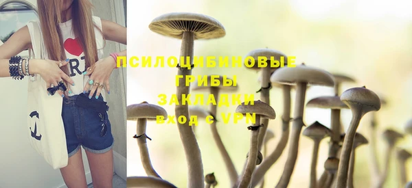 гидра Алексин