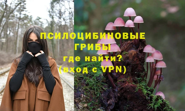 гидра Алексин