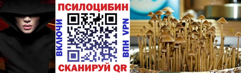 Псилоцибиновые грибы ЛСД  omg маркетплейс  Чусовой 