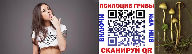 Галлюциногенные грибы GOLDEN TEACHER Чусовой
