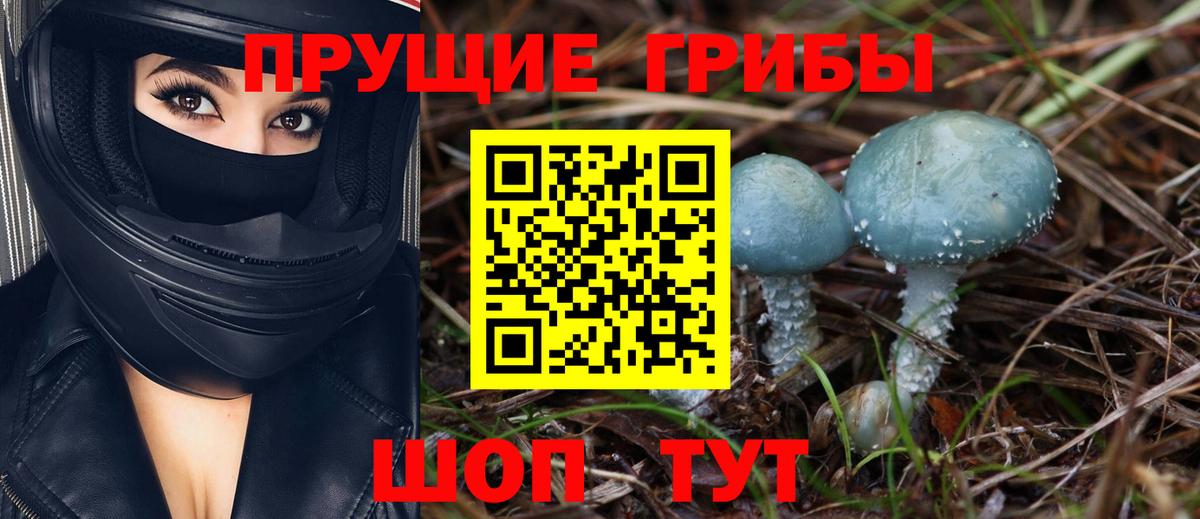 Псилоцибиновые грибы Psilocybe  Вход с VPN  Чусовой  Галлюциногенные грибы мицелий 